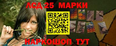 мдпв Гусев
