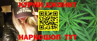 мдпв Гусев