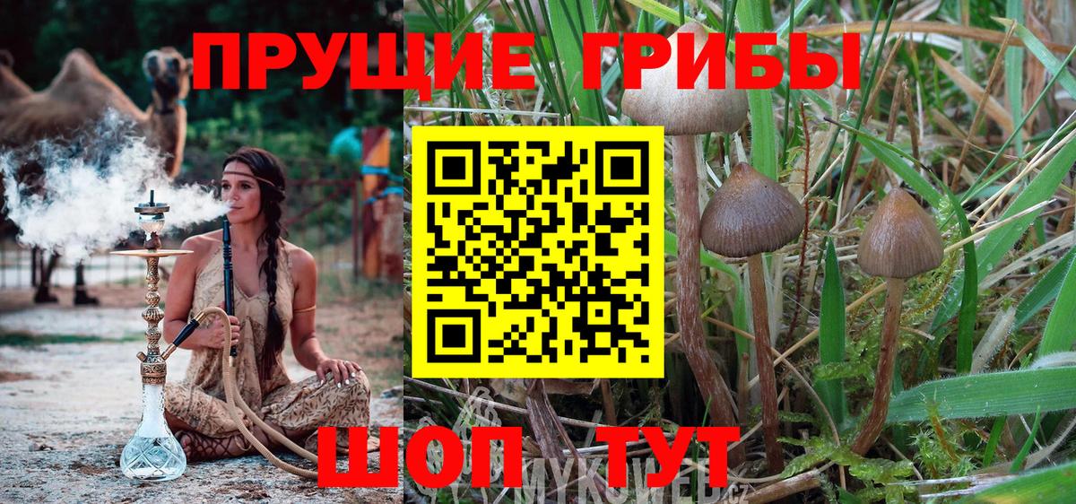 Галлюциногенные грибы мицелий Мытищи