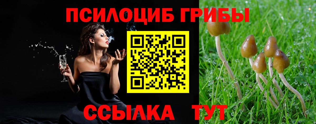 Псилоцибиновые грибы мицелий  Галлюциногенные грибы MAGIC MUSHROOMS  Мытищи  Вход с VPN 